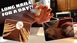 I Try Having LONG Nails for a Day [upl. by Jolee]