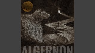 Algernon [upl. by Soo565]