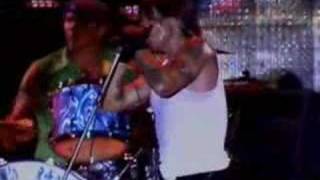 Red Hot Chili Peppers  The Zephyr Song live in Sao Paulo [upl. by Ahsoet]