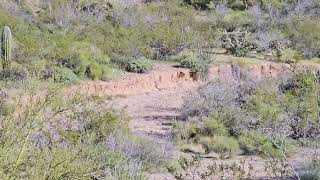 Gold Mining Claim For Sale  Wickenburg Arizona GV2728  40 acre Placer Mining Claim [upl. by Diane-Marie]