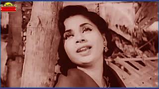 LATA JI amp HEMANT KUMARFilmJAAL1951Chandni RaateinPyar Ki BaateinKho Gayein JaneKahanTRIBUTE [upl. by Green]