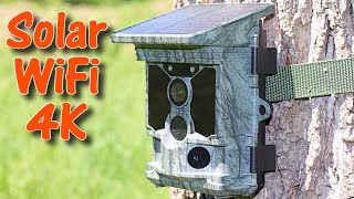 No more batteries Campark T180 Solar WiFi 36MP 4K Trail Camera Review and Field Test [upl. by Reyam425]