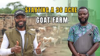 WHY A COMMERCIAL SNAIL FARMER IS STARTING ONE OF THE BIGGEST GOAT FARMS IN GHANA [upl. by Ludovico]