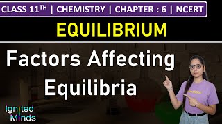 Class 11th Chemistry  Factors Affecting Equilibria  Chapter 6 Equilibrium  NCERT [upl. by Yelkcub]