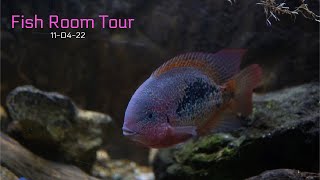 A Few Less FishFish Room Tour [upl. by Elburt55]