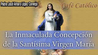 La Inmaculada Concepción de María  ☕ Café Católico  Padre Arturo Cornejo ✔️ [upl. by Kcira]