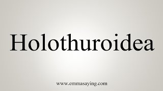 How To Say Holothuroidea [upl. by Casandra]