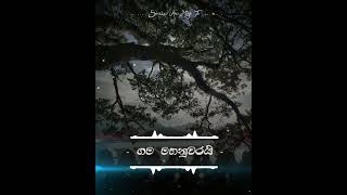 Gama Mahanuwarai  Chandra Kumara Kandanarachchi [upl. by Rafat695]