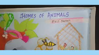 EVS project  grade 1homes of animals Animal and their shelter [upl. by Prudi]