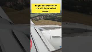 Engine Strake or Vortex generators or Chine [upl. by Ahsaela]