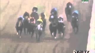 Insane Greatest Jockey Fight Of All Time  Sick [upl. by Alyak516]