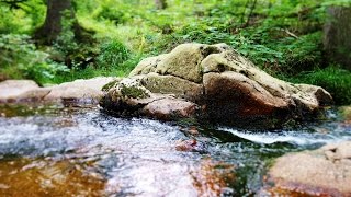 Braunlage an der warmen Bode im Harz [upl. by Allerym]