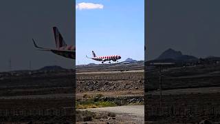 Condor Airbus 321200 landing at Tenerife South condor airbus airplane airport landing [upl. by Itirahc144]