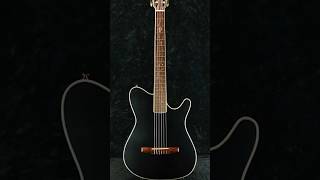 The Insane Story of Tim Hensons Signature Guitar [upl. by Enelehcim589]