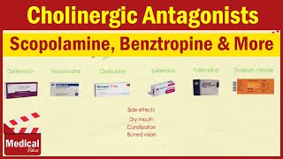 Pharmacology ANS 8 Cholinergic Antagonists Part 1 Atropine  Scopolamine  Benztropine etc [upl. by Avehs]