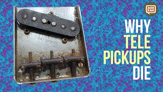 Why Vintage Telecaster Pickups Die  Ask Zac 130 [upl. by Mistrot]