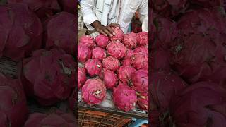 How to Grow dragon Fruits 2 🌿😍🌱 indianfarmer gardening indiangardeners phoolpatte vegegarden [upl. by Aneela627]