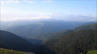 Rencontre avec les chamois Bureau Montagne des Hautes Vosges [upl. by Dave956]