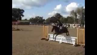 team show jumping at hickstead [upl. by Cathe]