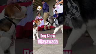 DOG SHOW IN VIJAYAWADA 😍 dogshow song [upl. by Anaz695]