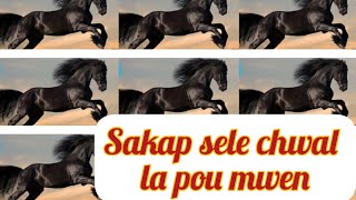 Sakap sele chwal la pou mwen [upl. by Delphine54]