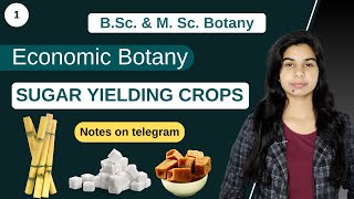 Economic Botany  SUGAR YIELDING CROPS  Botany  B Sc amp M Sc [upl. by Clorinde112]