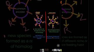 Convergent Evolution vs adaptive radiation class 12 evolution ncert physicswallah alakhpandey [upl. by Thorbert]