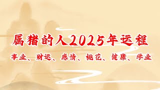 属猪的人2025年运程 生肖猪2025年事业、财运、感情、桃花、健康、学业运势详解 生肖運勢 2025年 运势 运程 生肖猪 [upl. by Mommy517]