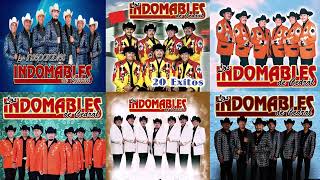 Los Indomables del Cedral Exitos Mix 2022  Las Mejores Canciones Exitos Mix 2022 [upl. by Alanna]