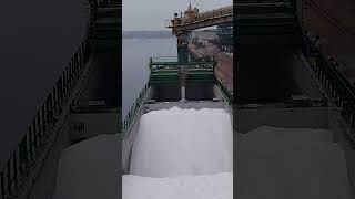 WISMAR GERMANYLoading of Road Salt youtubeshorts [upl. by Casi]