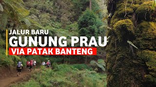 Jalur Baru Gunung Prau via Patak Banteng [upl. by Burgener658]