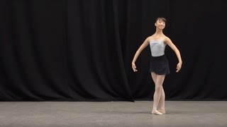 Insight Ballet Glossary  Petit allegro [upl. by Lehcim782]