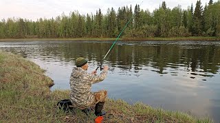 РЫБАЛКА ПРО ОХОТУ НА МЕДВЕДЯ ОТКРЫЛСЯ СЕЗОН РЫБАЛКИ ПО ОТКРЫТОЙ ВОДЕ ПОЙМАЛ НА УХУ СВЕЖУЮ РЫБУ [upl. by Biggs]