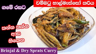 වම්බටු සහ හාල්මැස්සෝ කරිය Sri Lankan Brinjal amp Sprats Curry [upl. by Hines220]