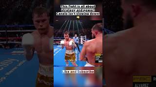 Canelo vs Plant  Fast Fight CaneloAlvarez CalebPlant fight sports boxing shorts [upl. by Torras]