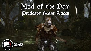 Morrowind Mod of the Day EP96  Predator Beast Races Argonians amp Khajiit Showcase [upl. by Eliezer]