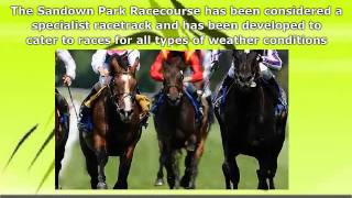 History of Sandown Racecourse [upl. by Andromada616]