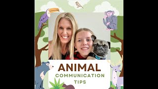 Animal Communication Tips [upl. by Elephus20]