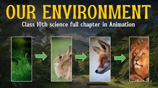 Our Environment full chapter Animation  Class 10 Science chapter 14  CBSE  NCERT [upl. by Gnohc]