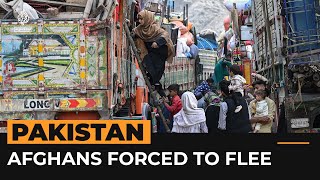 Deportation deadline arrives for Afghan refugees in Pakistan  Al Jazeera Newsfeed [upl. by Ahseka]