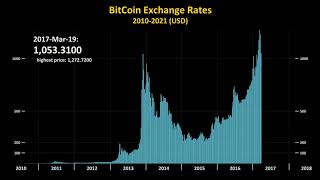 Bitcoin Price History 20102021 in 2 minutes [upl. by Harvey654]