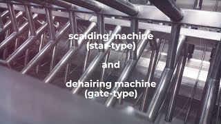 NIROTECH  Scalding  dehairing machine [upl. by Benji]