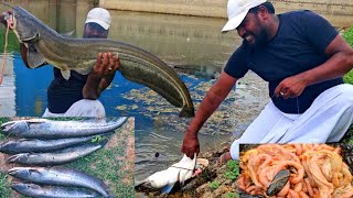 Fishing  Smell Fishing  Big Wallago Attu catfish catching  चिकन के ऐतडी से मछली पकडा  Fish [upl. by Solram941]