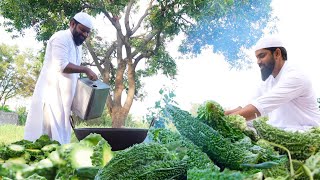 Crispy Karela Fry  Bitter gourd fry  fry karela  Kakarakaya Masala Curry  Karela Masala Curry [upl. by Augustus960]