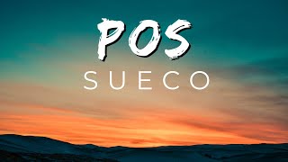 Sueco POS [upl. by Berky]