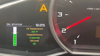 McLaren MP412C Oil Change [upl. by Blau586]