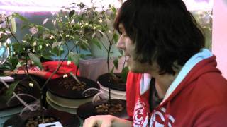 How To Hydroponics  S02E08 SuperThrive DWC H2O2 amp Solar Oh My [upl. by Child]