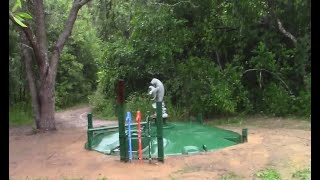 Filling Cistern with Rain Water [upl. by Tacye]