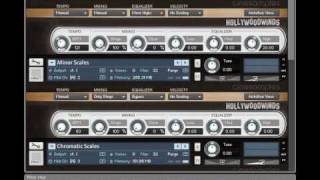 Cinesamples Hollywoodwinds  SCALES AND RUNS [upl. by Atteuqal]