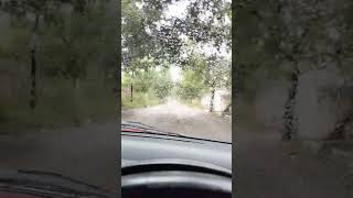 Beevi 😀 youtubeshorts drive rain [upl. by Domel]